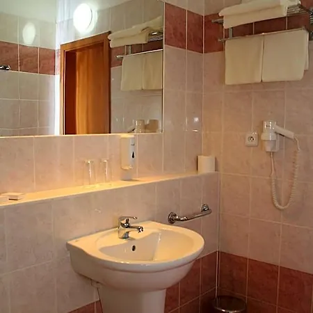 Hotel Ceska Koruna 3*