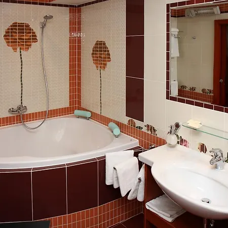 Hotell Ceska Koruna Decin