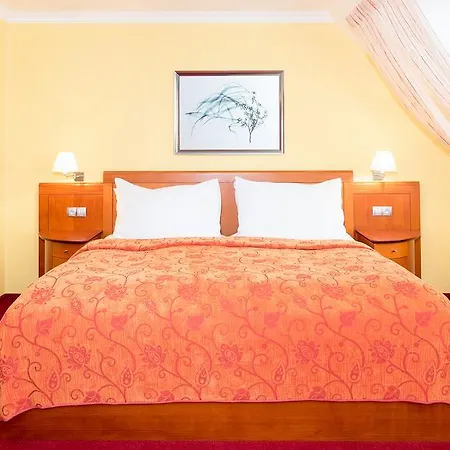 Ceska Koruna Hotell Decin