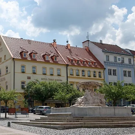 Hotel Ceska Koruna 3*