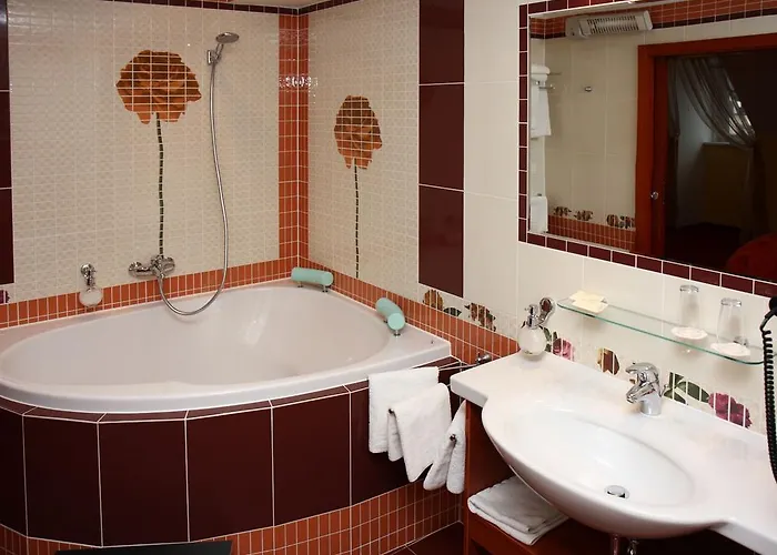 Hotel Ceska Koruna Decin